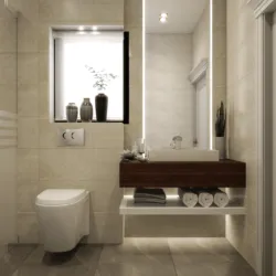 shot 2 bathroomfarida shot 2 bathroomfarida